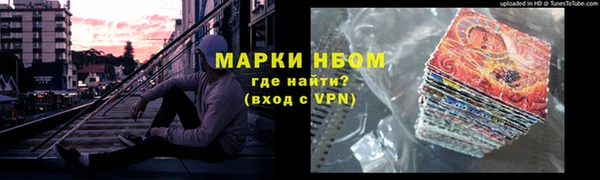 шишки Верея
