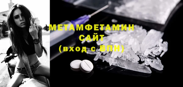 шишки Верея