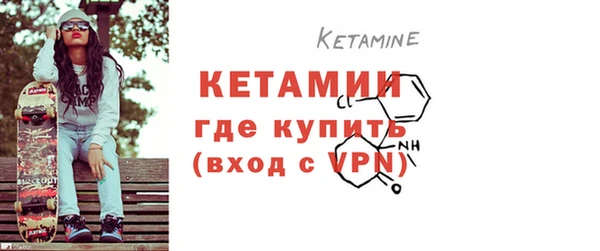 шишки Верея