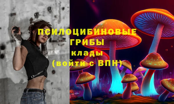 прущие крисы Верхний Тагил