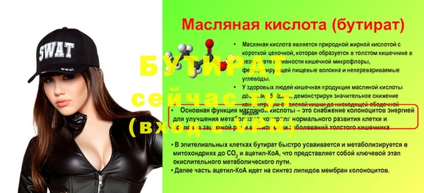 шишки Верея