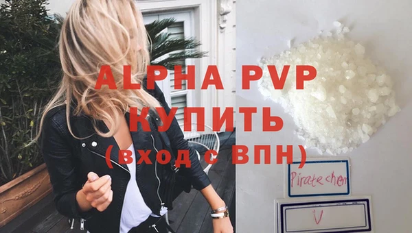 шишки Верея
