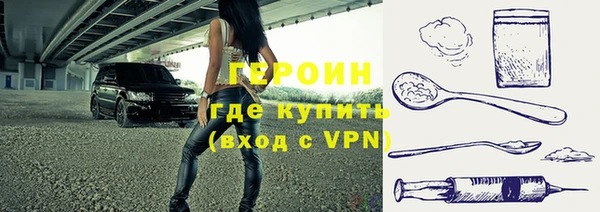 твердый Гусев