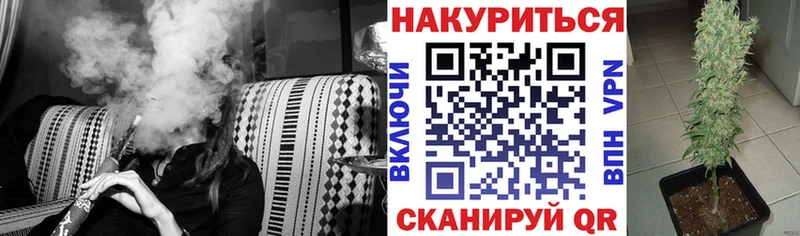 купить Дно Марихуана индика